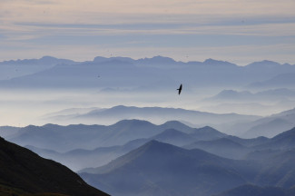 Berge und Nebel