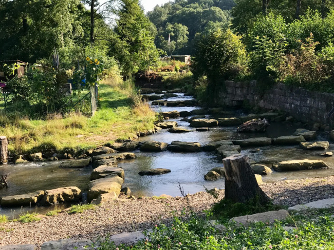 Fischtreppe Ebelsbach